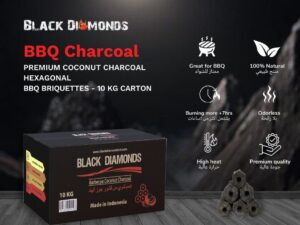 Coconut Charcoal BBQ Briquettes (10kg) 5x10cm
