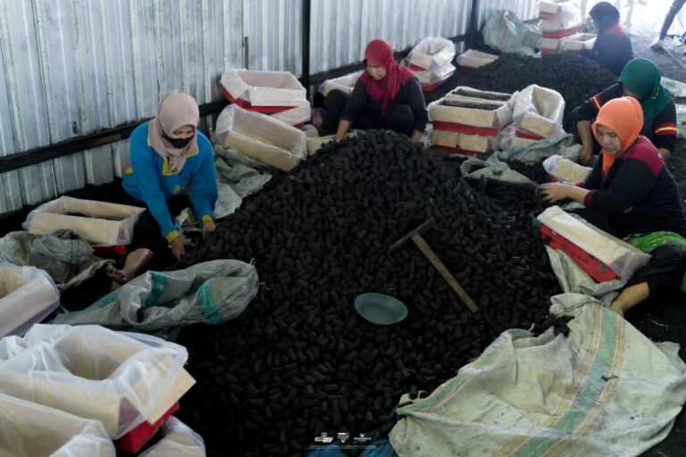 IMG-20241213-WA0032