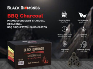 Coconut Charcoal BBQ Briquettes (10kg) 5x10cm