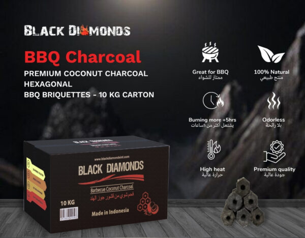 Coconut Charcoal BBQ Briquettes (10kg) 5x10cm