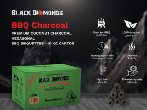 Coconut Charcoal BBQ Briquettes (10kg) 5x15cm