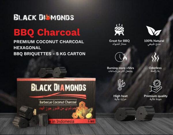Coconut Charcoal BBQ Briquettes (5kg) 5x5cm