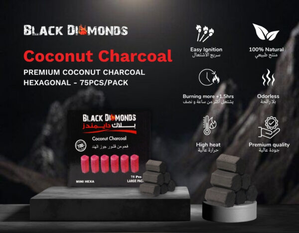 Charcoal Mini Hexagon (75 Pcs) IB