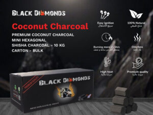 Coconut Charcoal Mini Hexagonal Bulk (10KG)